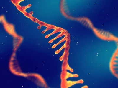 RNA strands - orange on blue background