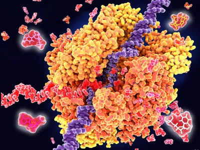 structural image of rna strand being transcribed by rna polymerase