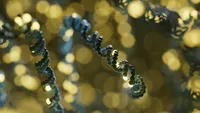 Cost-efficient long-read trio-barcoded adaptive sequencing improves rare disease diagnosis