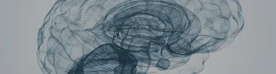 Nanopore sequencing in neurology research: see the whole picture. A Dementia Research Institute and Oxford Nanopore Technologies Webinar