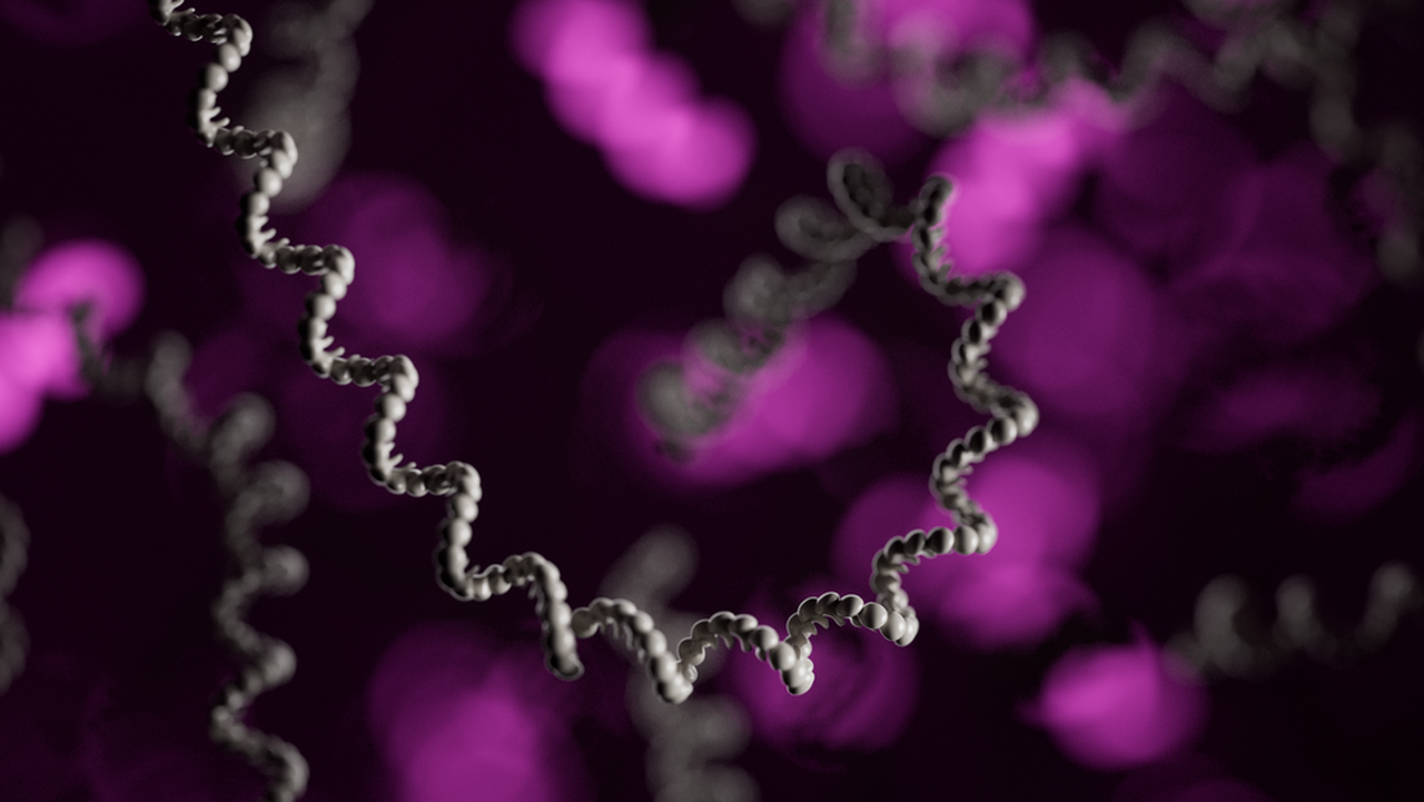 Multiple strands of RNA in front of a purple blurry background