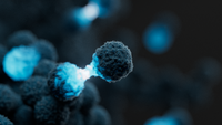 Application note: Comprehensive genomic and epigenomic profiling with the Oxford Nanopore Hereditary Cancer Panel