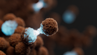 Accelerating precision oncology: Real-time genomic and epigenomic profiling with Oxford Nanopore