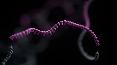 Transcriptomics