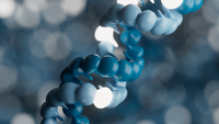 Nanopore long-read-only genome assembly of clinical Enterobacterales isolates is complete and accurate