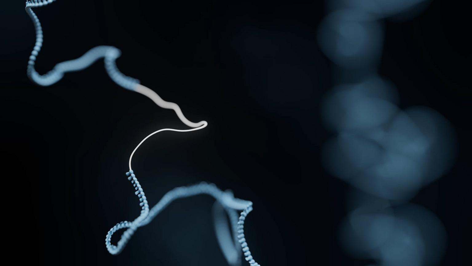 Unified metagenomic method for rapid detection of microorganisms in clinical samples