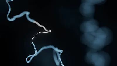 Strand of DNA zoomed out with bases missing