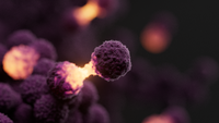 Cancer genome standards for long-read sequencing using cancer cell line mixtures