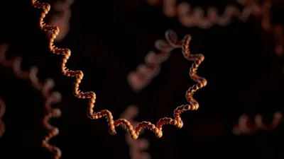 Multiple strands of orange RNA in front of a black background