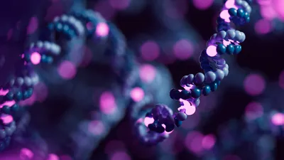 Strand of DNA with bases highlighted in purple
