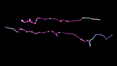 mRNA molecules