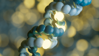 White paper: human and clinical research