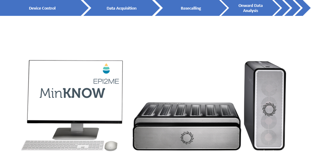 PromethION analysis workflow2