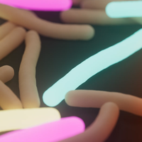Use of Oxford Nanopore sequencing to evaluate potential transmission of hospital infections