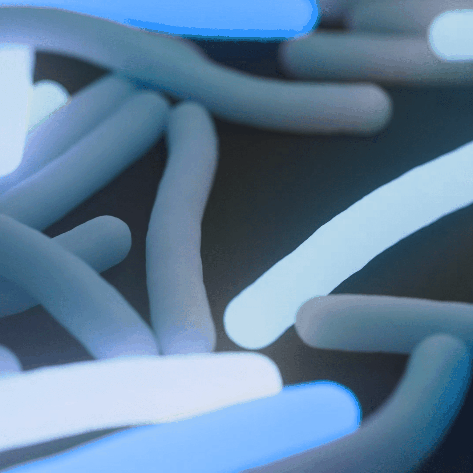 Seq&Treat: targeted sequencing for drug-resistant TB detection and treatment