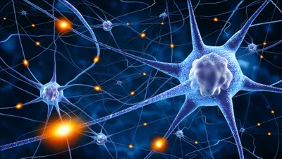 Neuronal network firing
