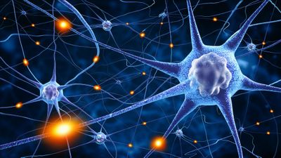 Neuronal network firing
