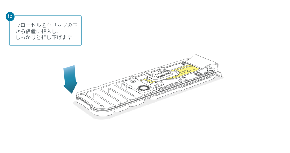 Flow Cell Loading Diagrams Step 1b_JP