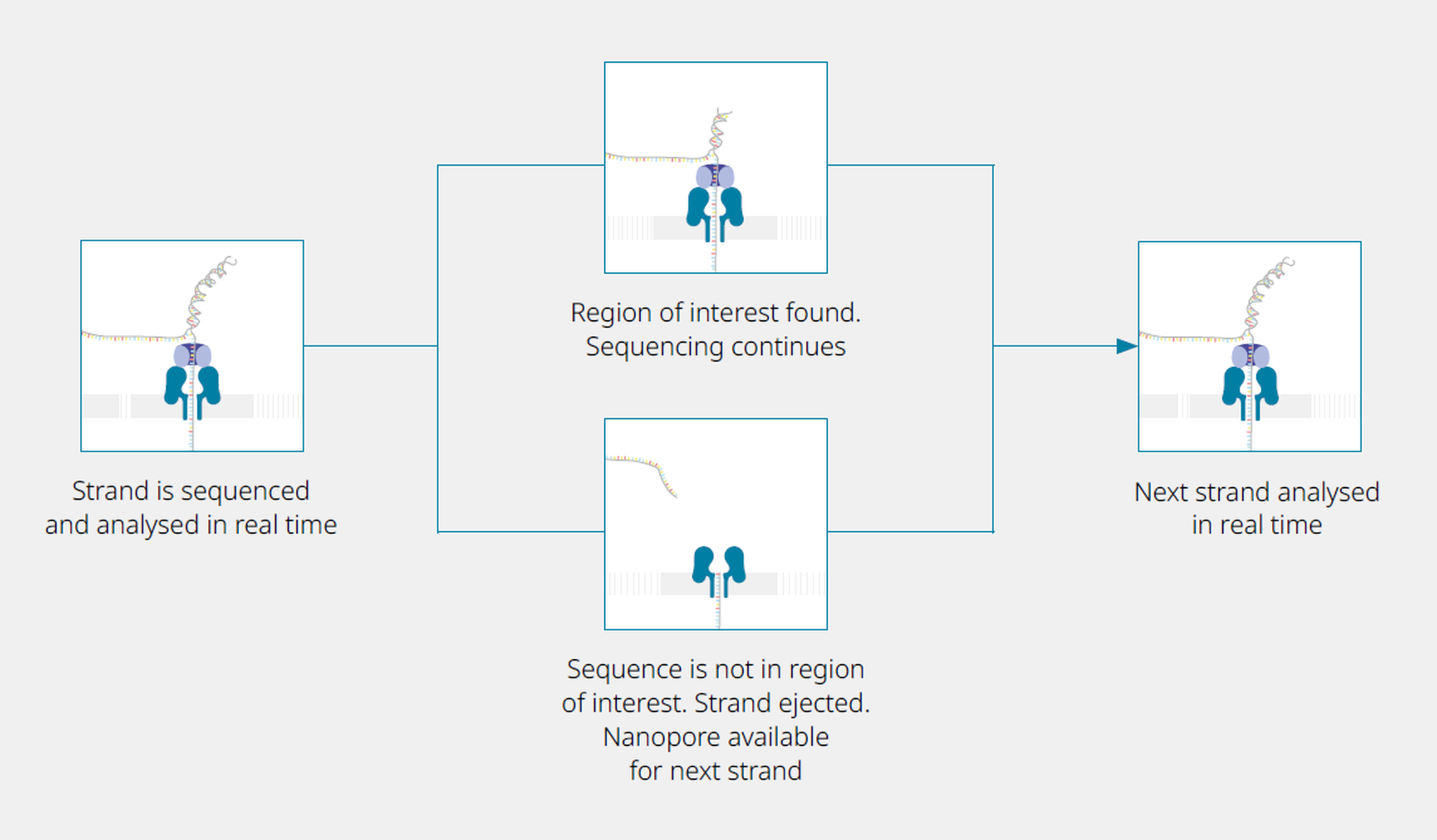 A schematic providing a high-level overview of how adaptive sampling works