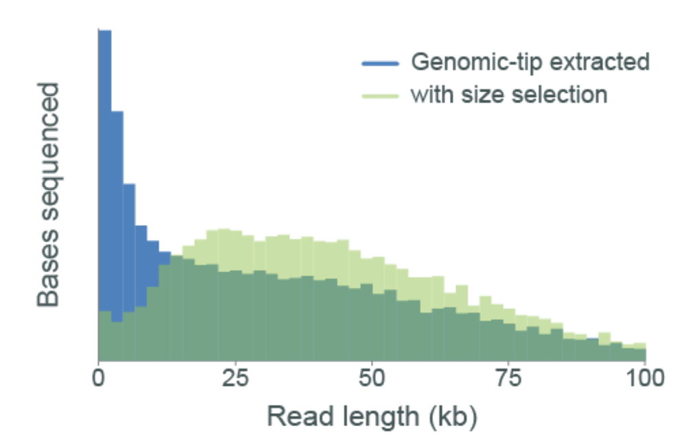 fever-tree-DNA-seq no circulomics