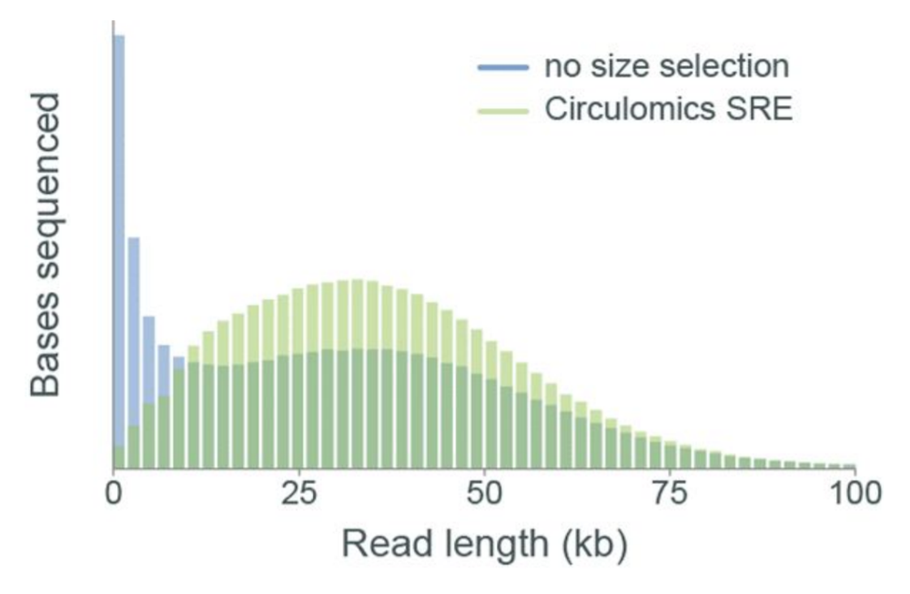 Arabidopsis-leaf-seq