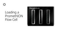 How do I load a PromethION Flow Cell?