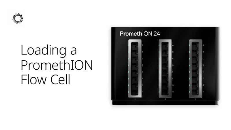 How do I load a PromethION Flow Cell