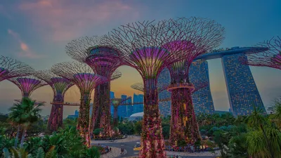 NCM 2023 Singapore