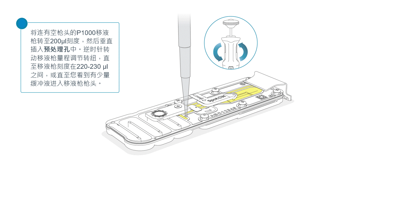 Chinese_removing_air_from_port_min_grid_edit_feb2025