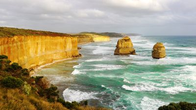 Lorne Genome