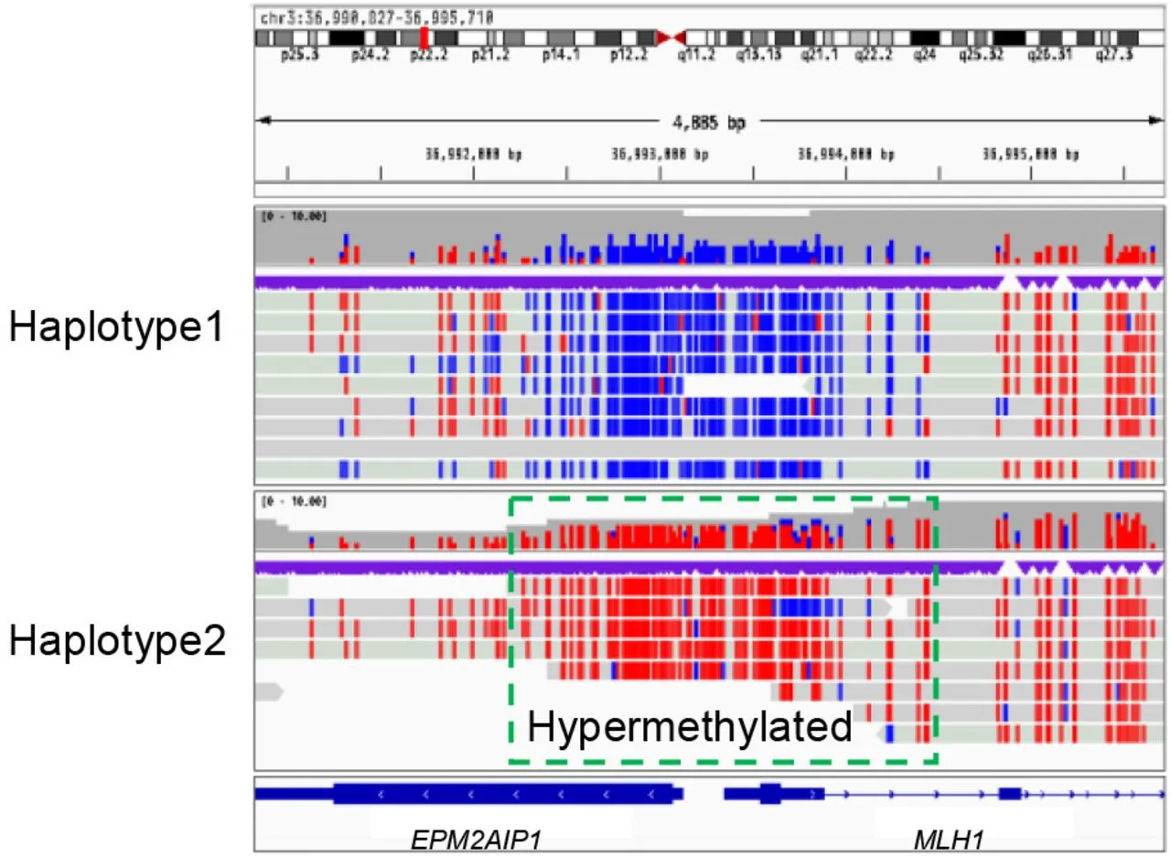 Graph illustrating hypermethylation between two haplotypes