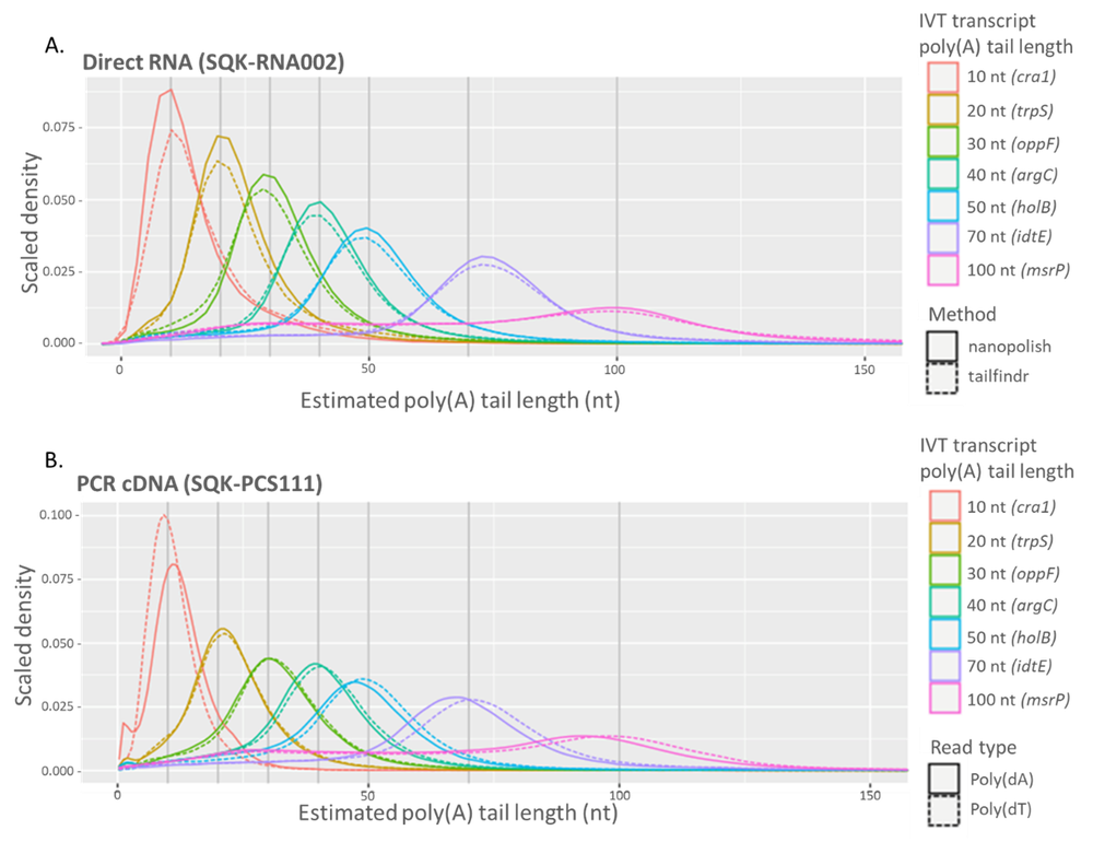 Measuring poly(a) tails image 1