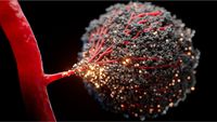 Circulating neuron-derived cfDNA for blood-based detection of Alzheimer’s and other neurodegenerative conditions