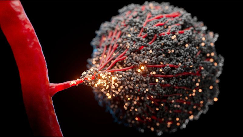 human and cancer research