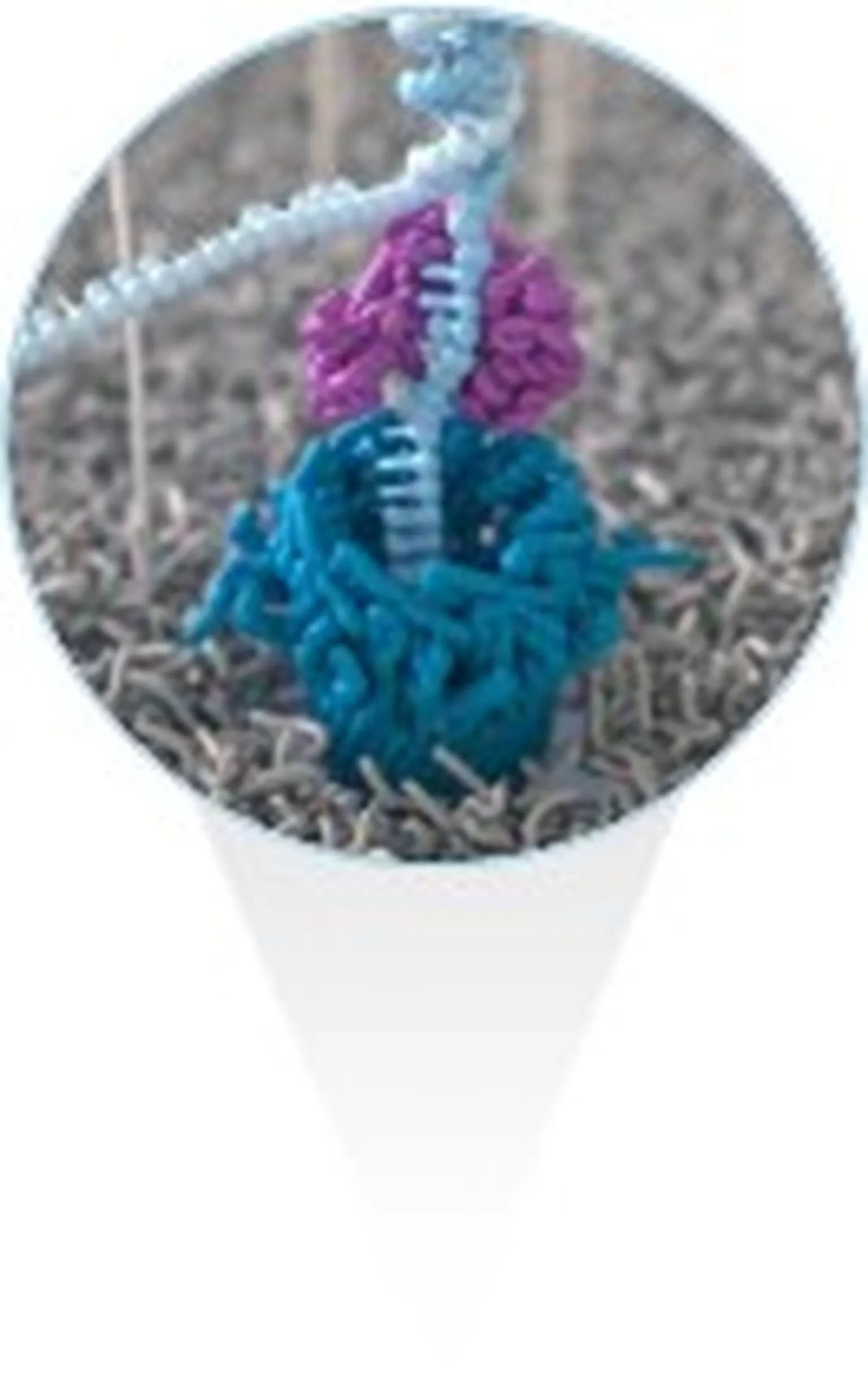 Nanopore