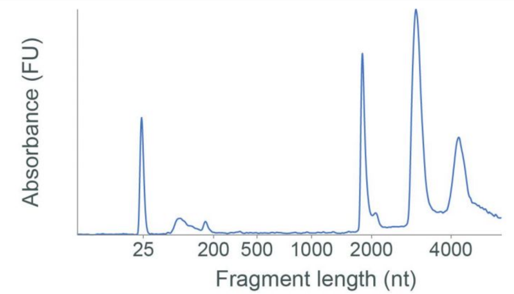 yeast TRIzol bioanalyzer