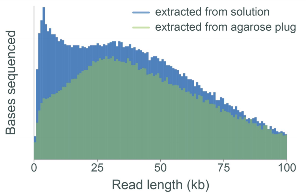 S. cerevisiae seq