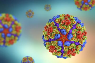 Chikungunya virus