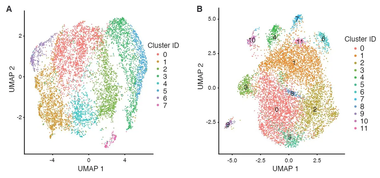 Image showing UMAP plots, with gene expression data from short-read sequencing and isoform expression data enabled by long nanopore reads.