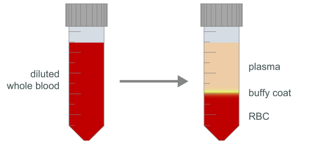 blood Pore-C diagram blood Pore-C diagram