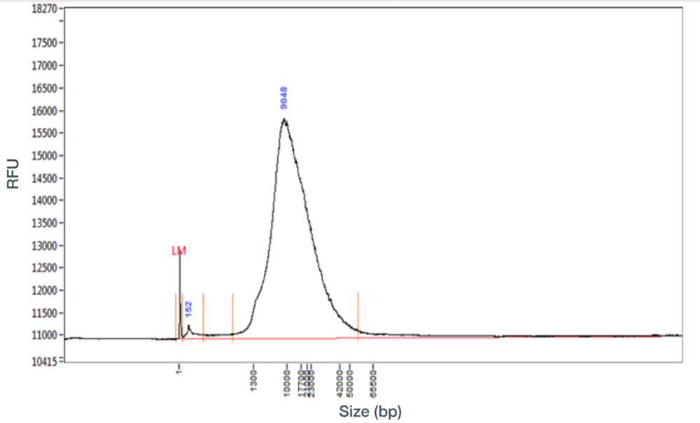 soil fragment before SPRI