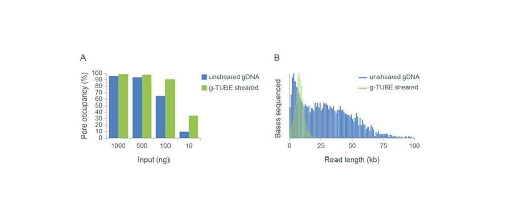 Figure 10: Relationship between sample input and sequencing output Figure 10: Relationship between sample input and sequencing output