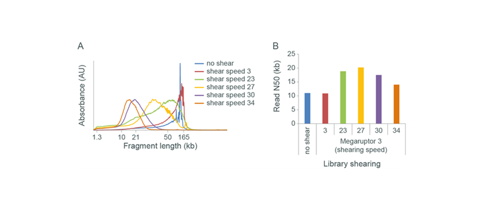 Figure 9: Effect of shearing on fragment length and read N50
