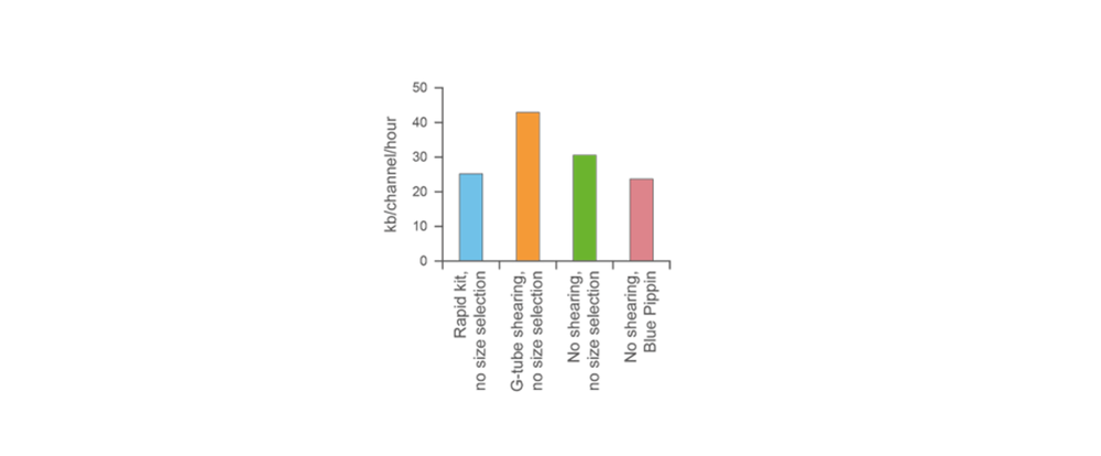Figure 8: Sequencing output from DNA prepared with or without fragmentation or size selection Figure 8: Sequencing output from DNA prepared with or without fragmentation or size selection