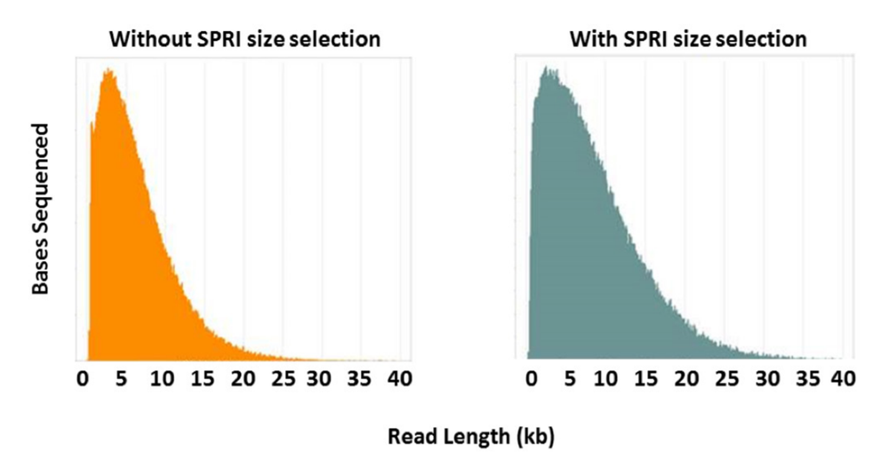 soil seq before