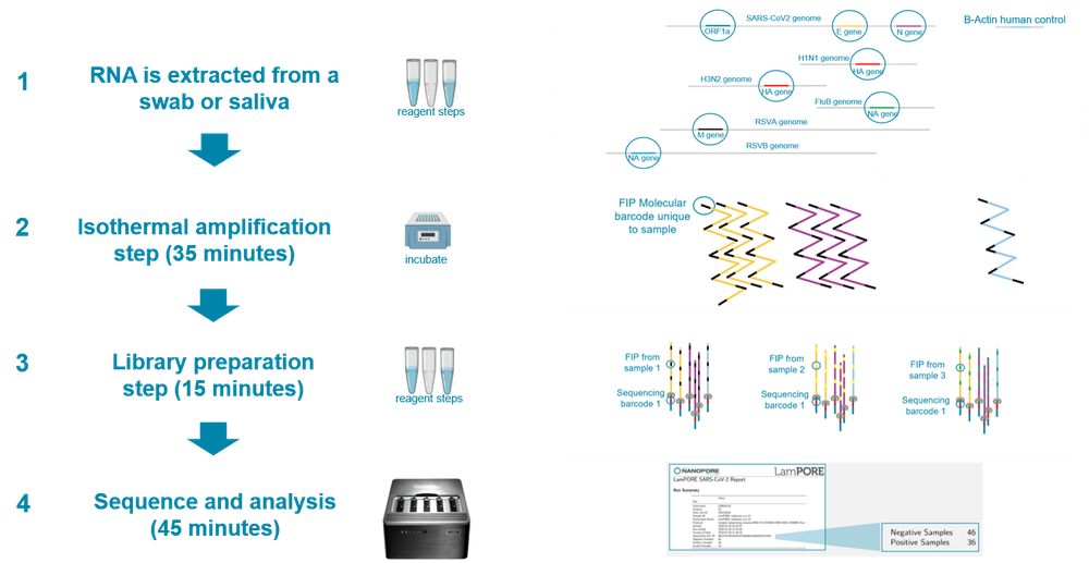 Respiratory panel workflow