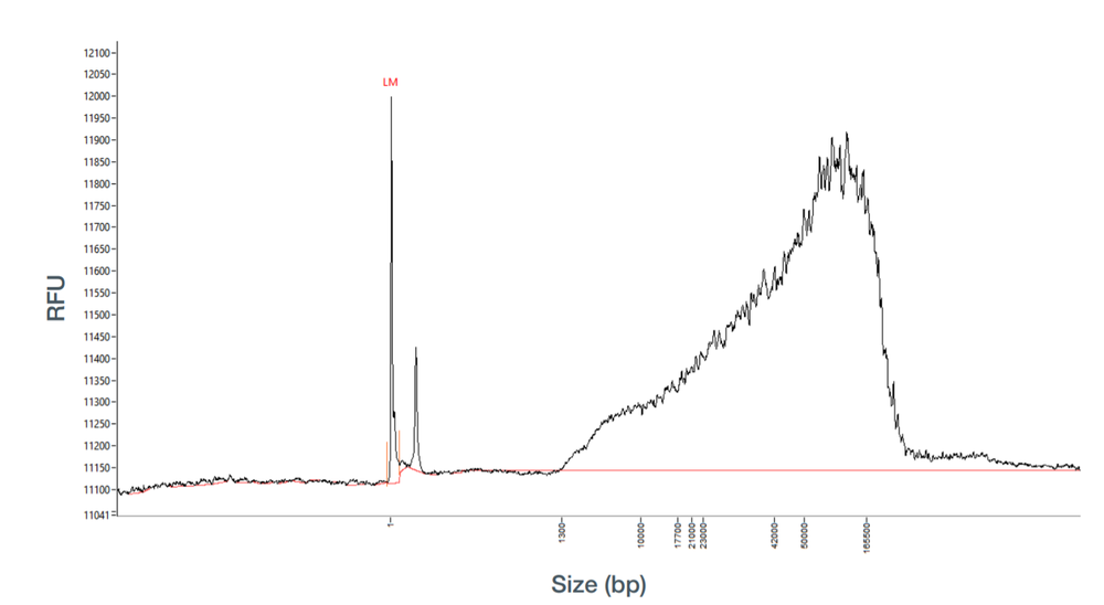 Cell lines QIAGEN fragmentation
