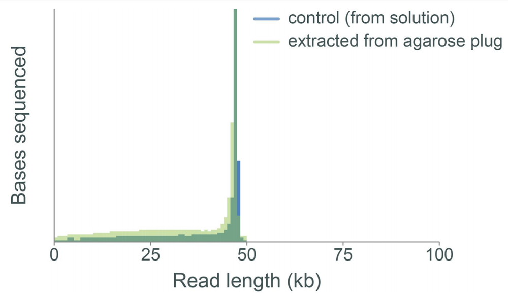 Labda DNA seq