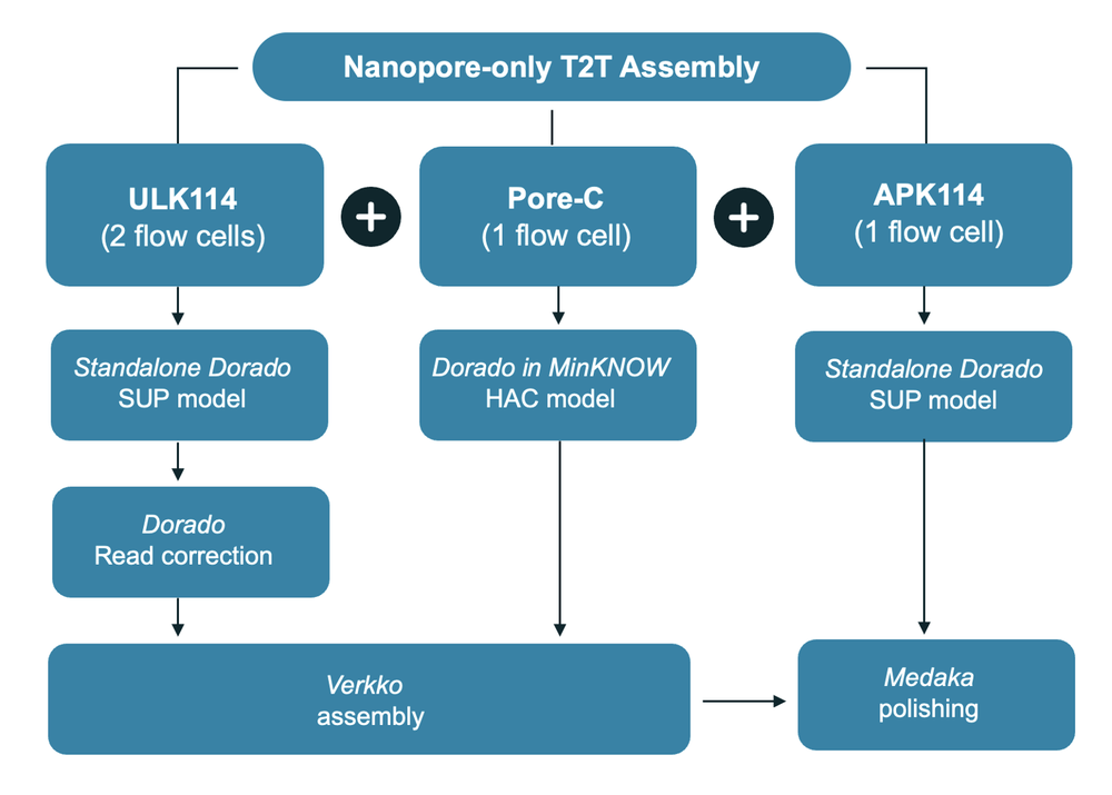 Workflow analysis t2t pic Workflow analysis t2t pic