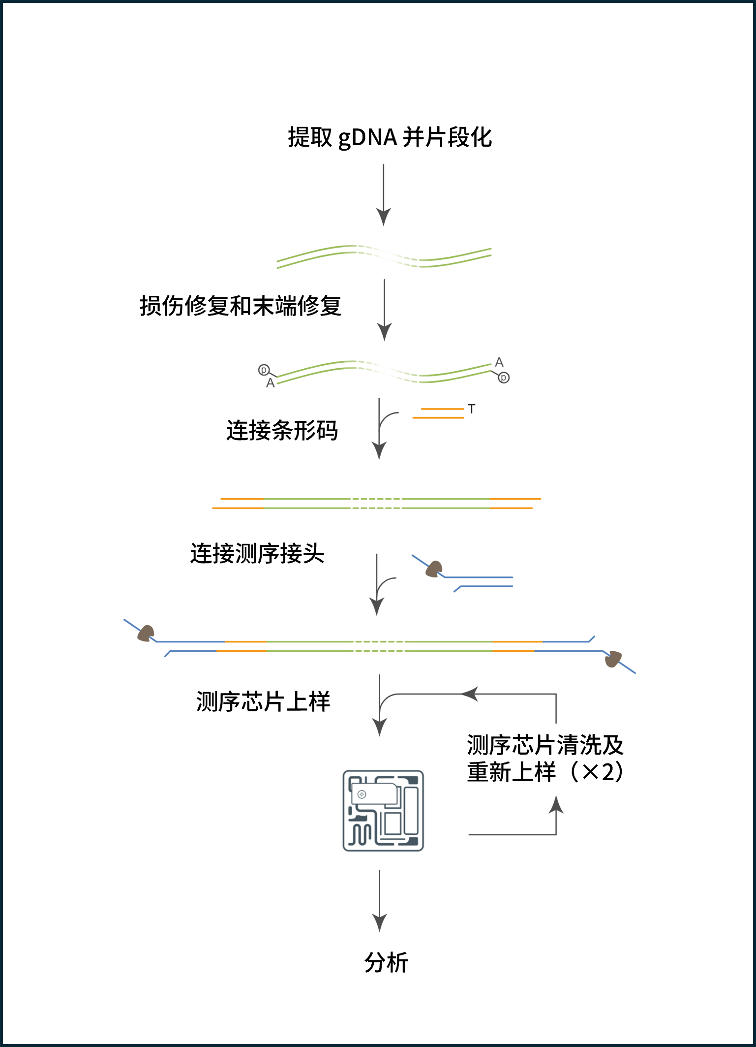 Chinese_PGx AS workflow Chinese_PGx AS workflow